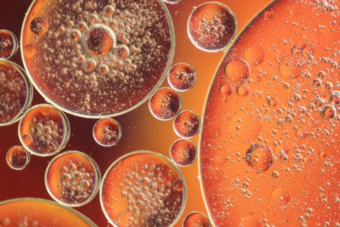 Close-up macro image of nutrient-rich liquid droplets representing amino acids and bioactive compounds.