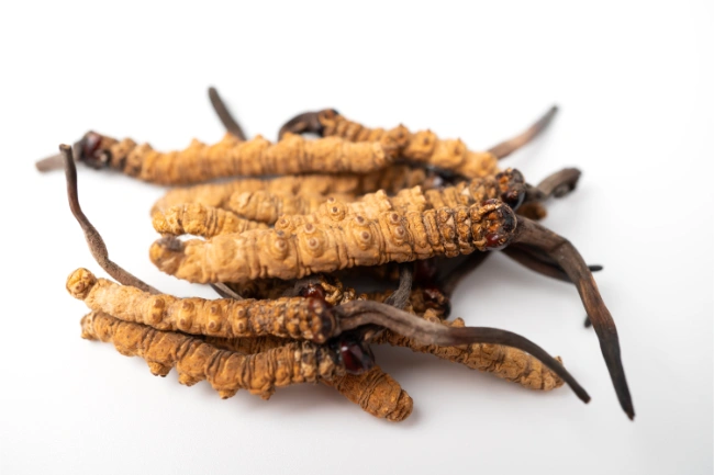 Are Cordyceps Good for You? Discover Their Incredible Benefits! 4