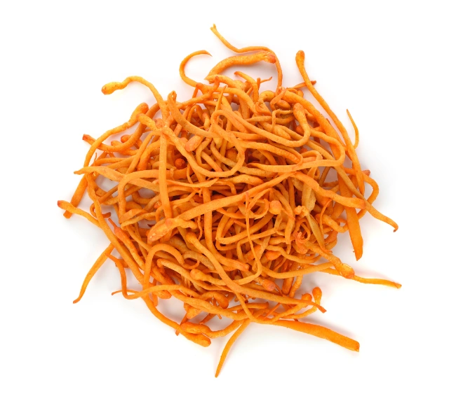 Are Cordyceps Good for You? Discover Their Incredible Benefits! 1