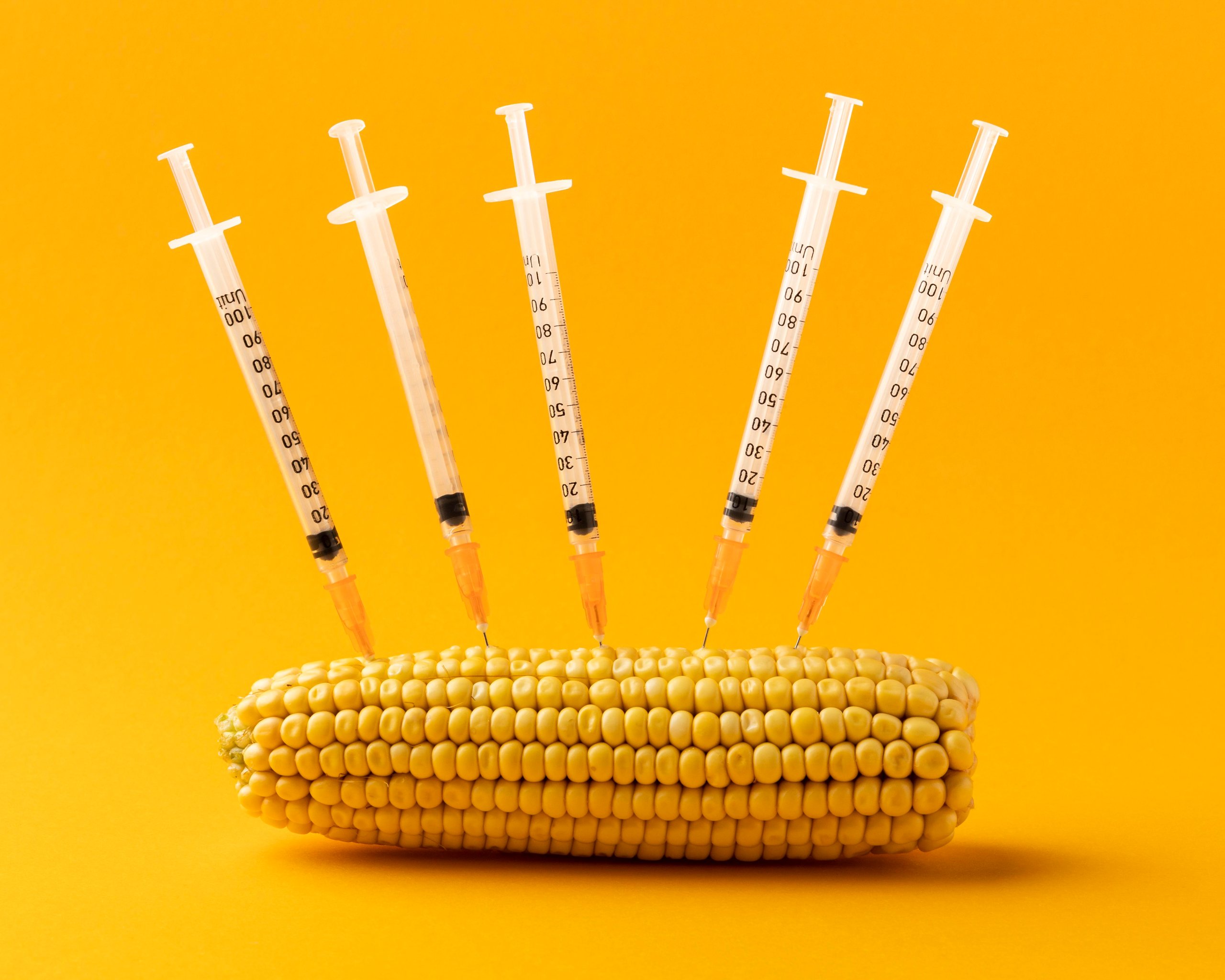 The-Shocking-truth-About-GMO
