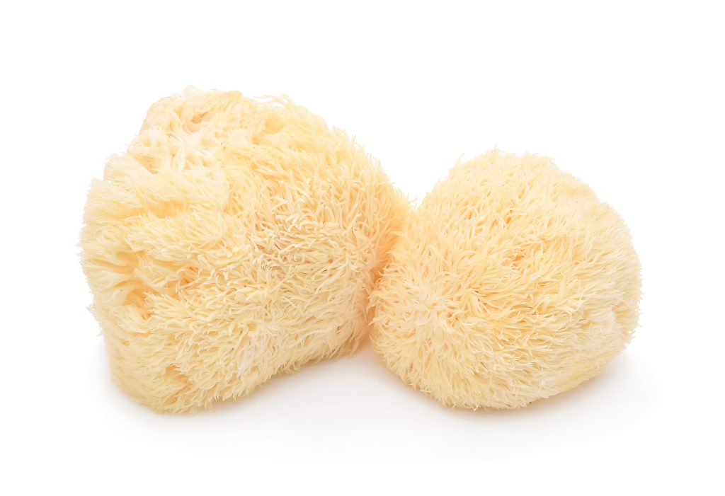 Will Lion’s Mane Make You Smarter? Investigating the Mushroom’s Cognitive Benefits  1