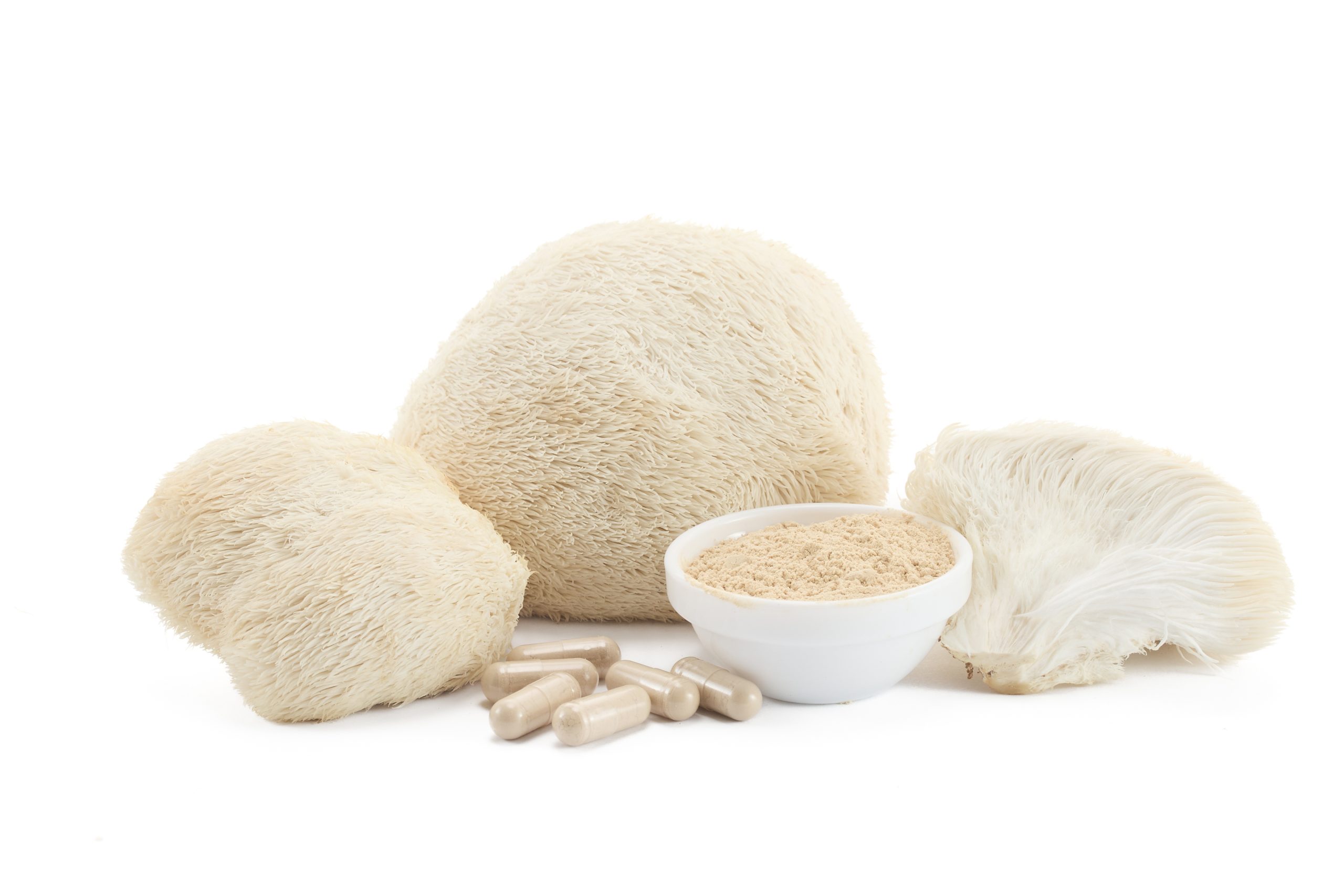 Lion's Mane mushrooms with powder and capsules