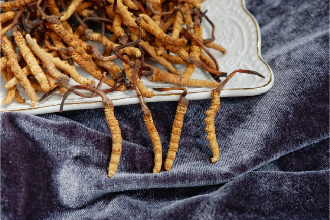 Are Cordyceps Good for You? Discover Their Incredible Benefits! 3